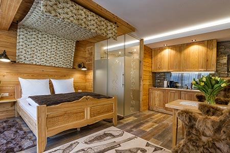 Larch Apartment of a studio type